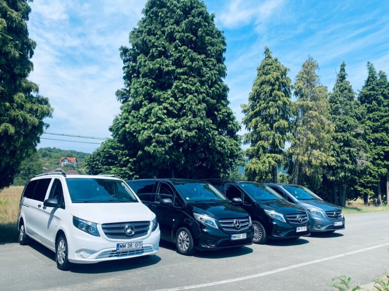 inchiriere microbuz 8 1 baia mare